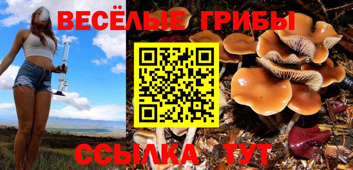 Усть-Джегута  Псилоцибиновые грибы мицелий  Галлюциногенные грибы мицелий  Вход с VPN 