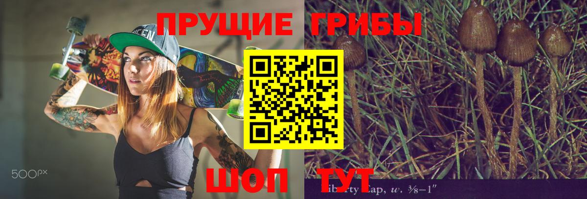 Псилоцибиновые грибы прущие грибы Усть-Джегута